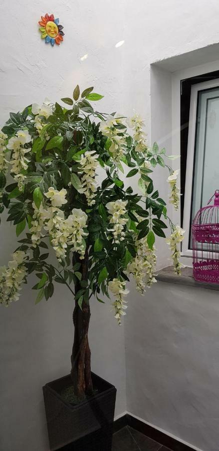 Charme De Monsaraz别墅 外观 照片